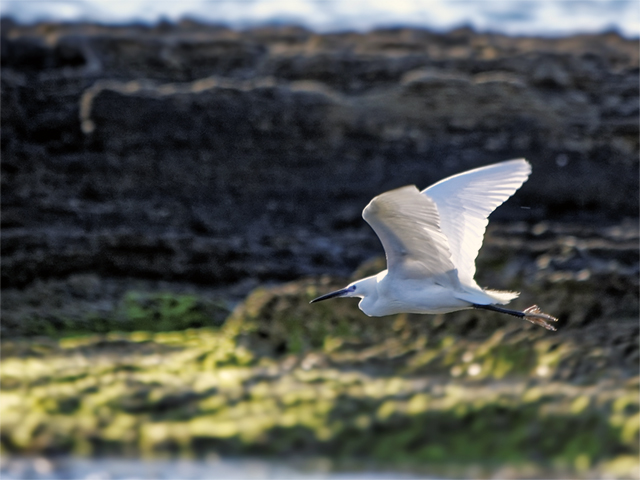 La Frasca: alla scoperta del Monumento Naturale di Civitavecchia