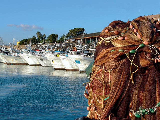 Porto di Civitavecchia: record di passeggeri ad Aprile